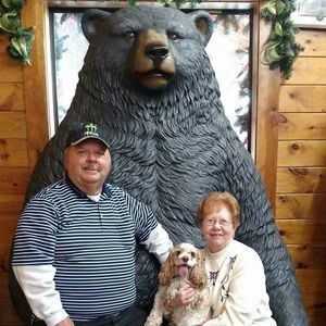 Meet your Posher, Diana